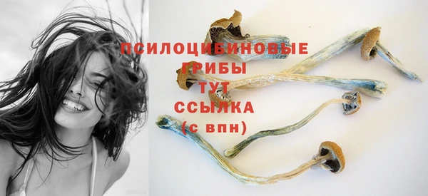 прущая мука Баксан