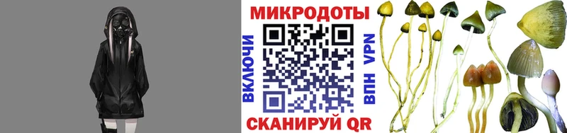Купить Мещовск Галлюциногенные грибы ЛСД
