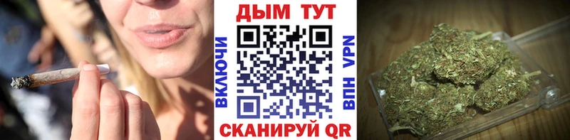 МАРИХУАНА сатива  Купить где  Мещовск 
